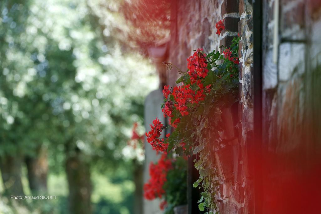 Paturages De La Kys Villa Вурен Екстериор снимка